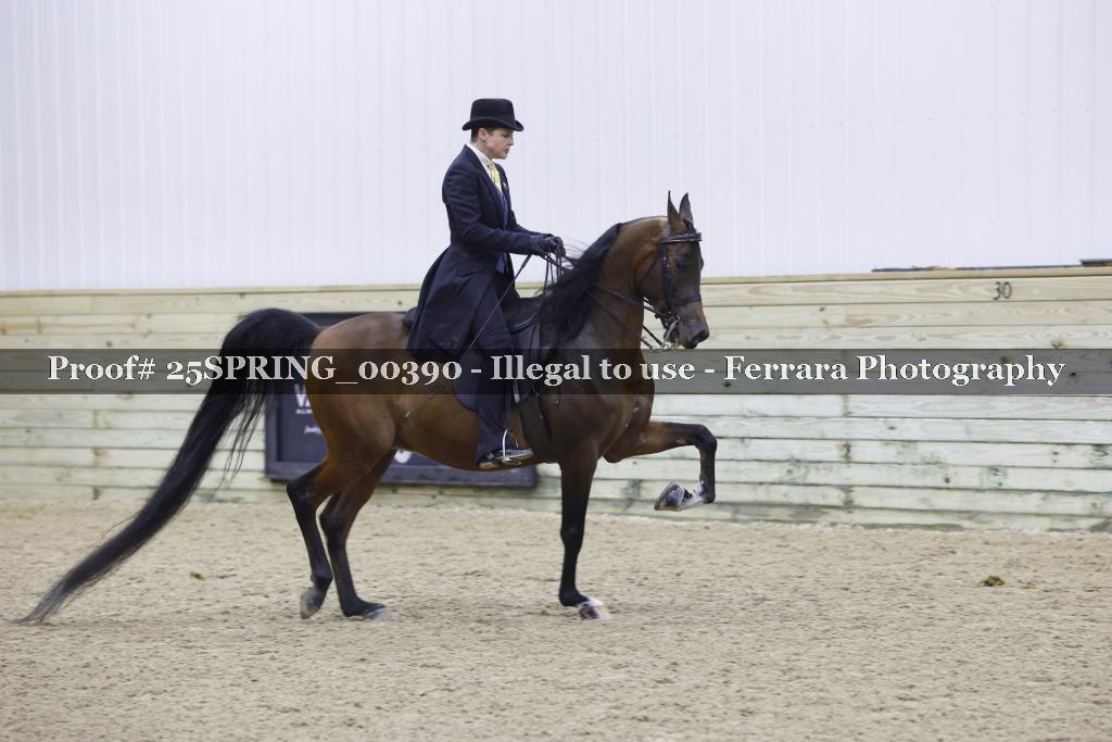 Proof 25SPRING_00390