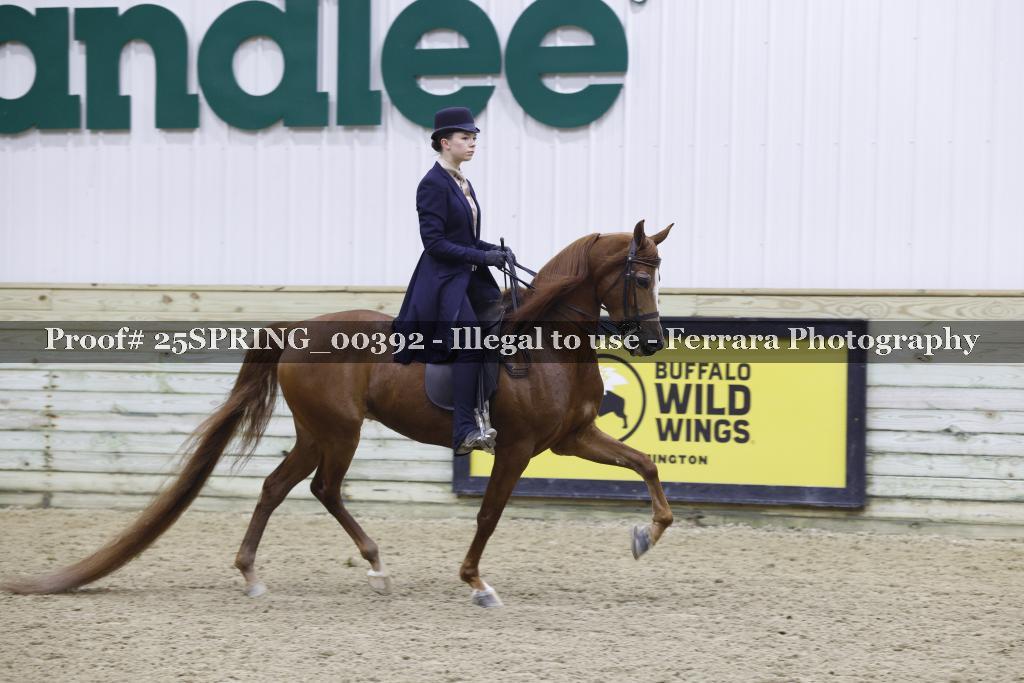 Proof 25SPRING_00392