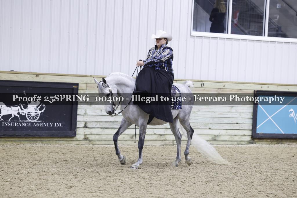 Proof 25SPRING_00400
