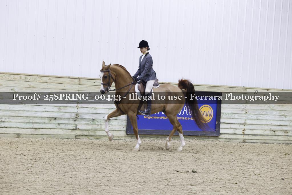 Proof 25SPRING_00433