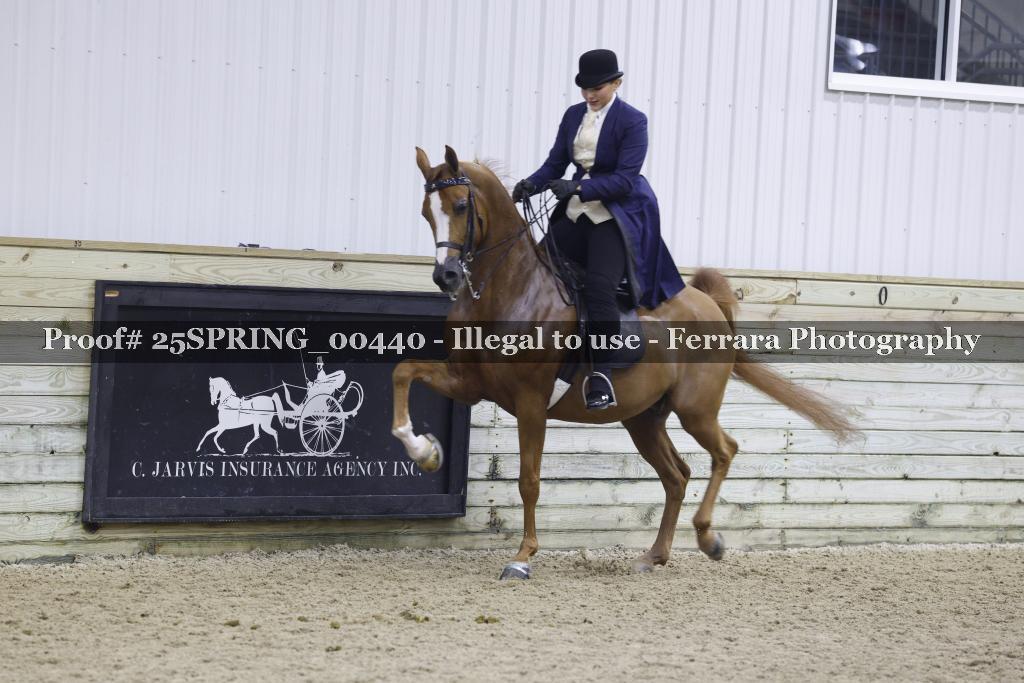 Proof 25SPRING_00440