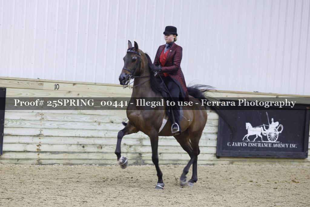 Proof 25SPRING_00441