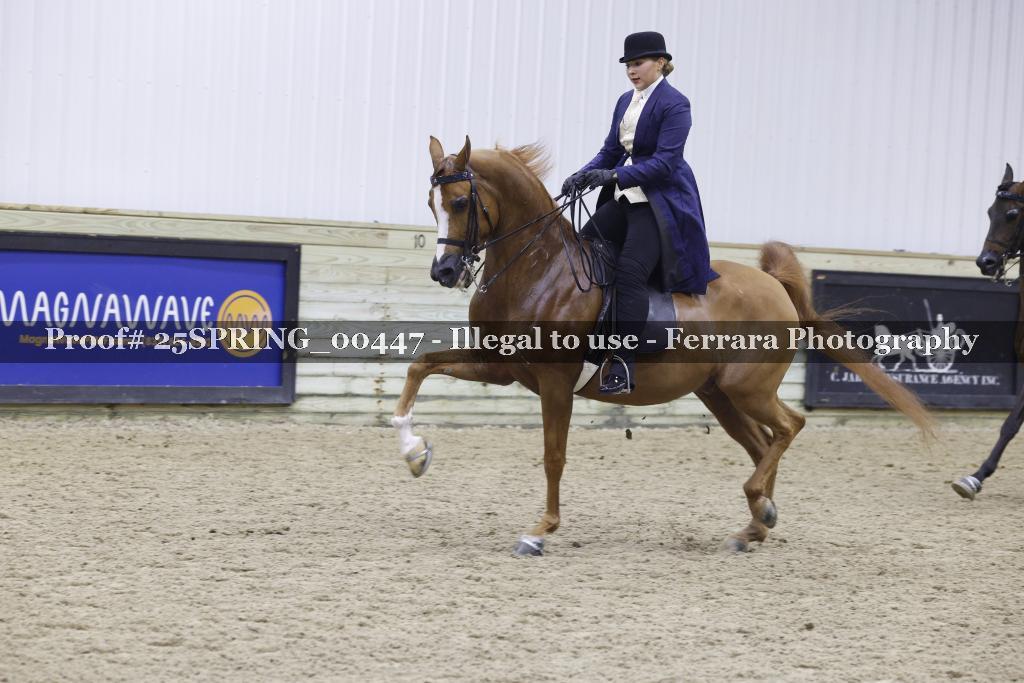 Proof 25SPRING_00447