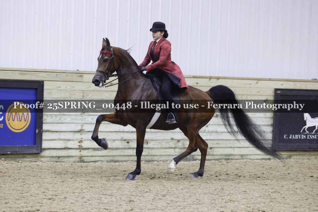 Proof 25SPRING_00448