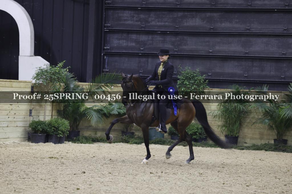 Proof 25SPRING_00456