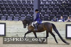 25SPRING_00473 proof