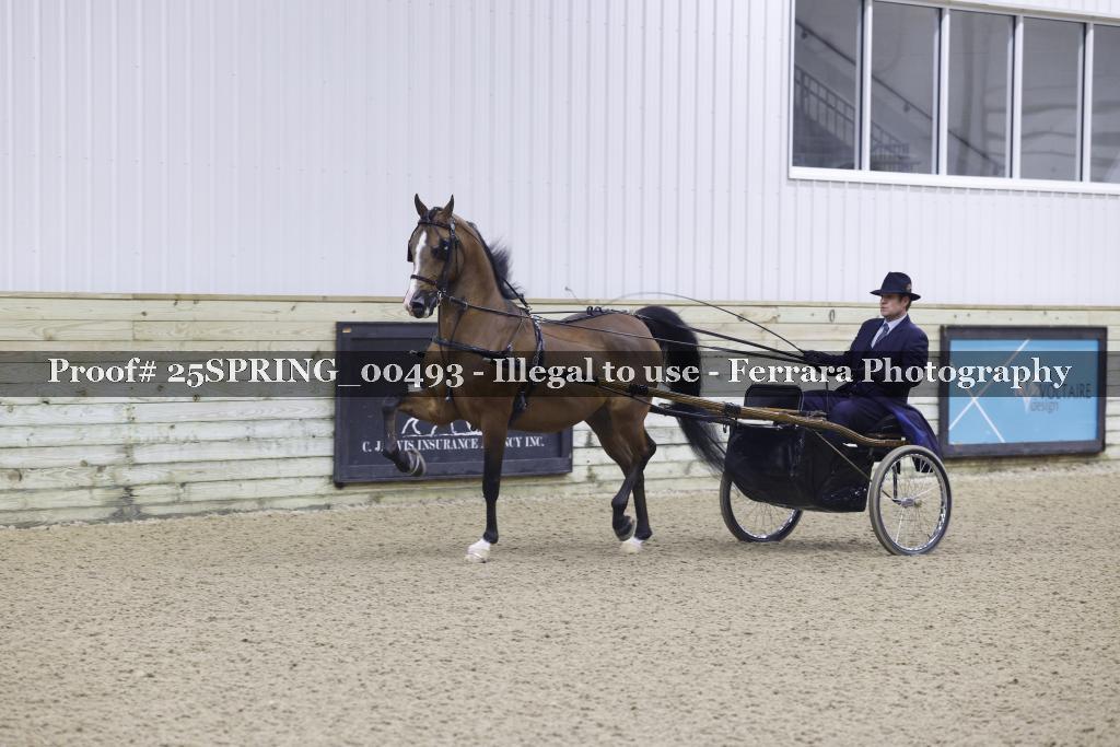 Proof 25SPRING_00493