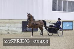 25SPRING_00493 proof