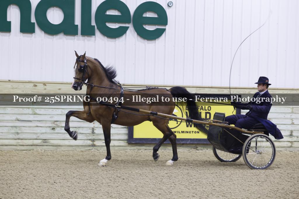 Proof 25SPRING_00494