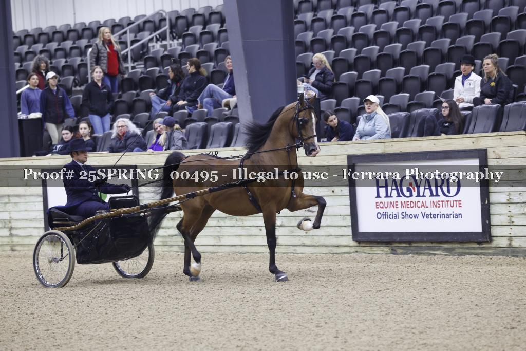 Proof 25SPRING_00495