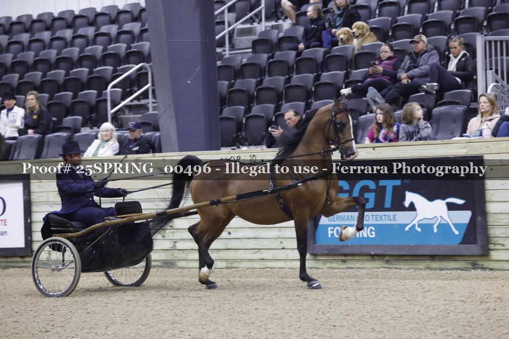 Proof 25SPRING_00496