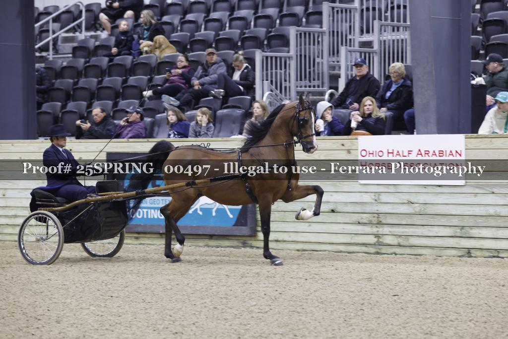 Proof 25SPRING_00497