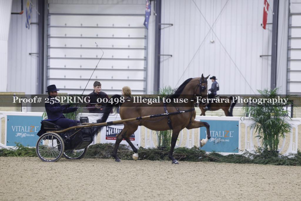 Proof 25SPRING_00498