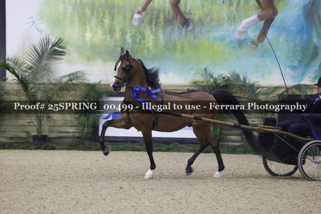 Proof 25SPRING_00499