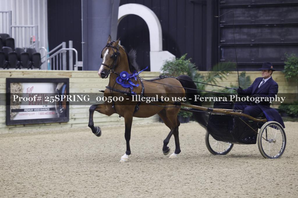 Proof 25SPRING_00500