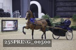 25SPRING_00500 proof