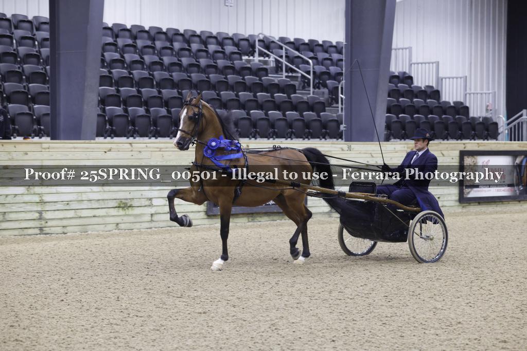 Proof 25SPRING_00501