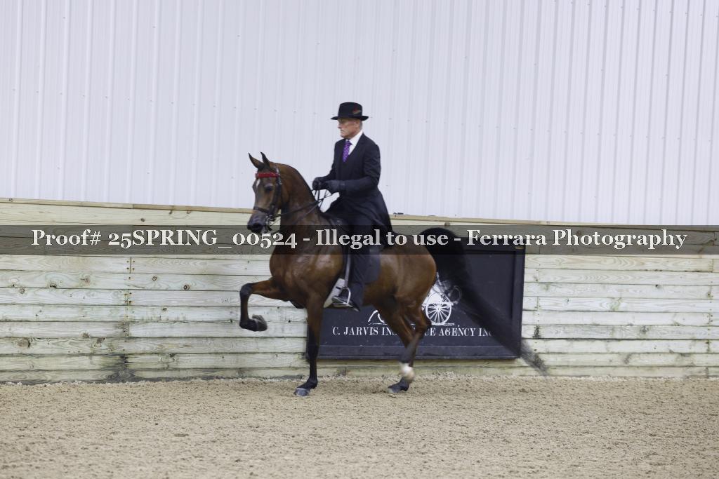 Proof 25SPRING_00524