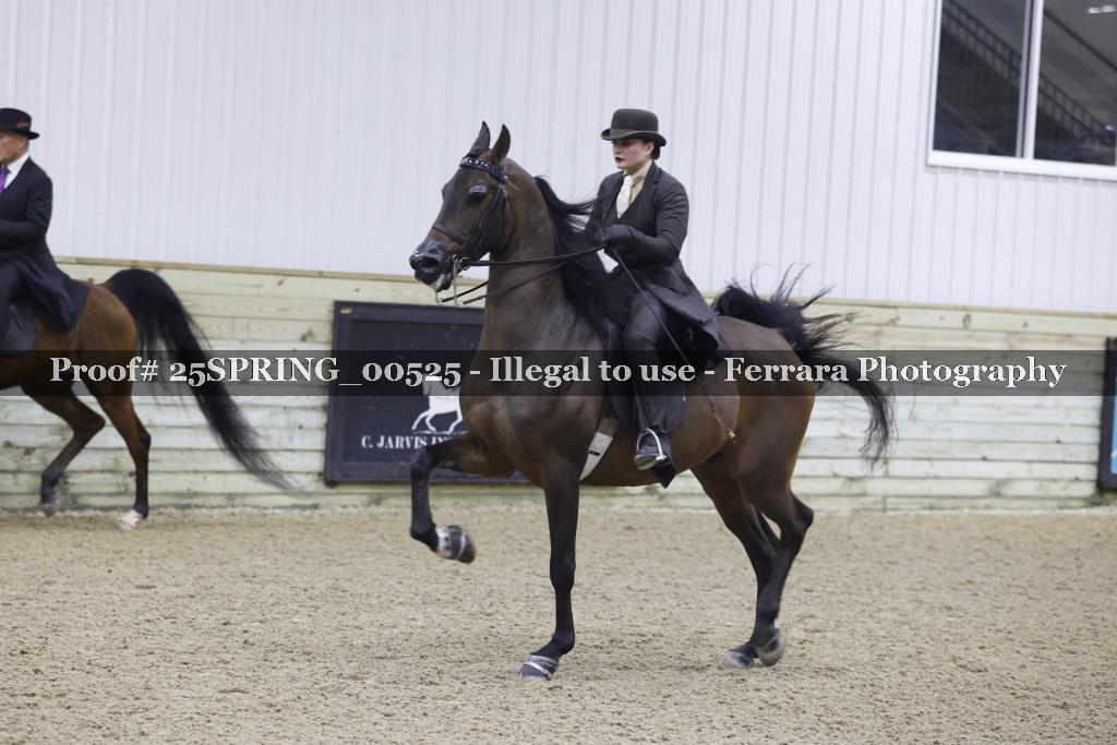 Proof 25SPRING_00525