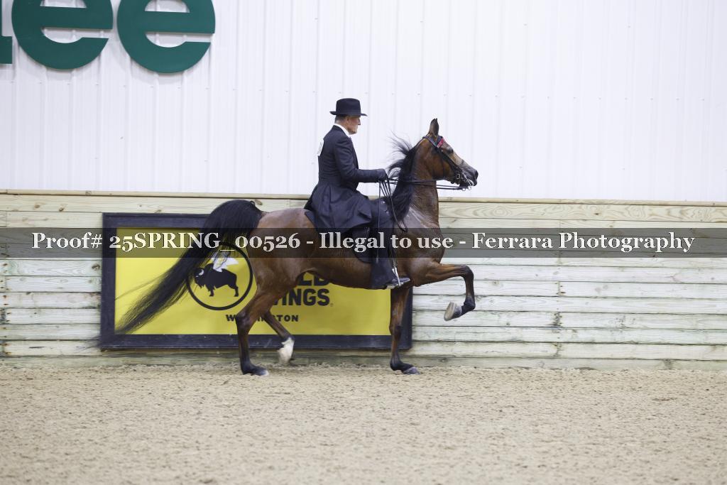 Proof 25SPRING_00526