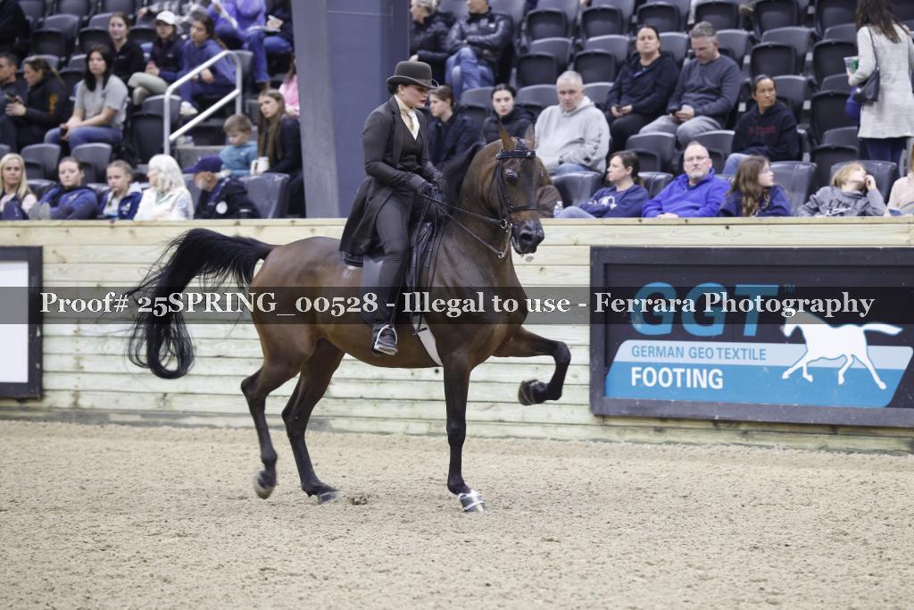 Proof 25SPRING_00528