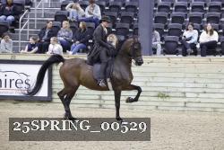 25SPRING_00529 proof