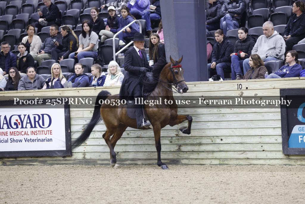 Proof 25SPRING_00530