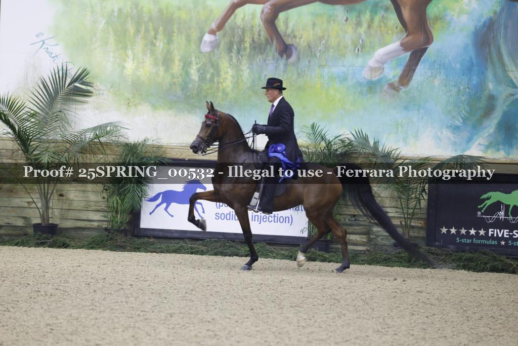 Proof 25SPRING_00532