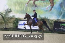25SPRING_00532 proof