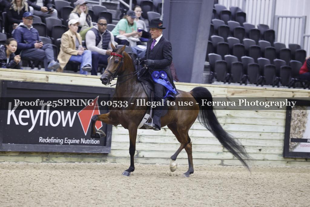 Proof 25SPRING_00533