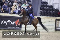 25SPRING_00533 proof
