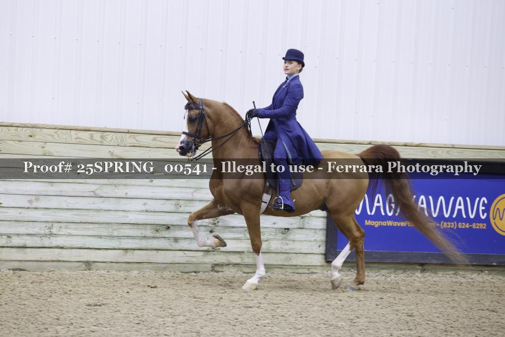 Proof 25SPRING_00541