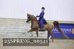 25SPRING_00541 proof