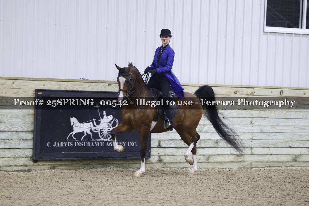 Proof 25SPRING_00542