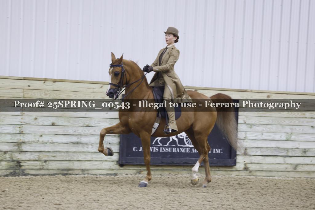 Proof 25SPRING_00543