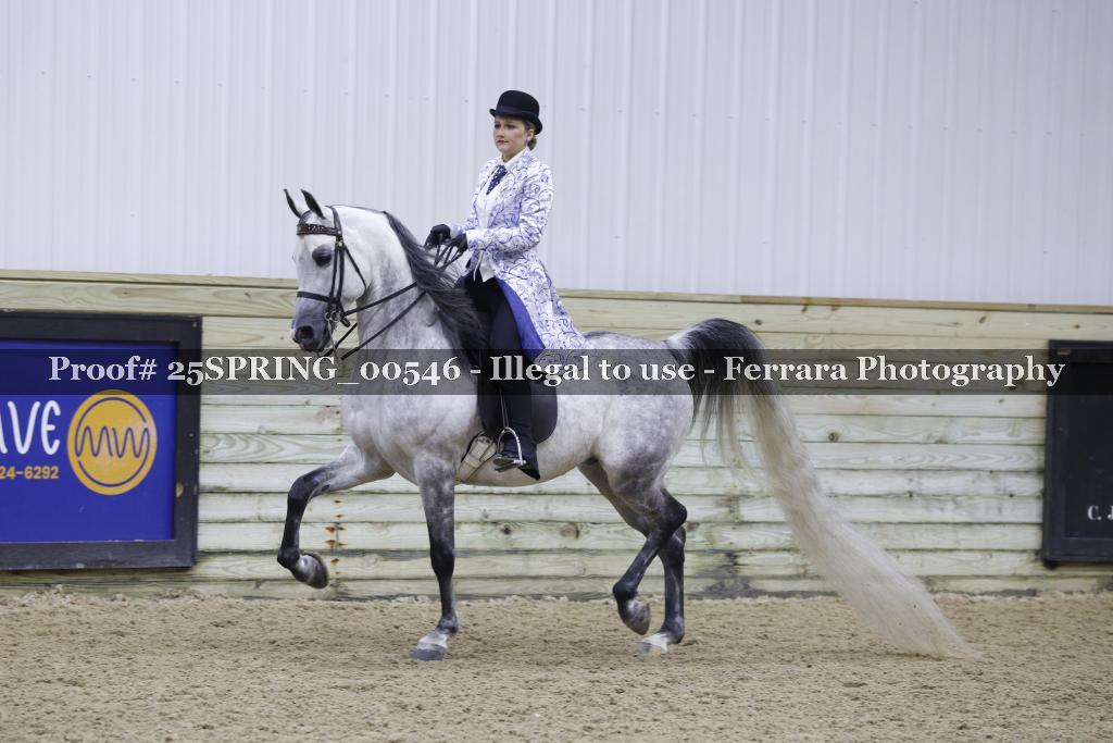 Proof 25SPRING_00546