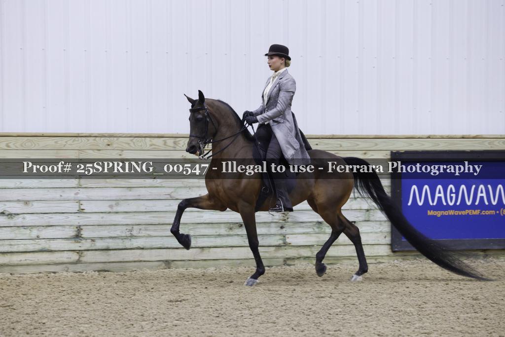 Proof 25SPRING_00547