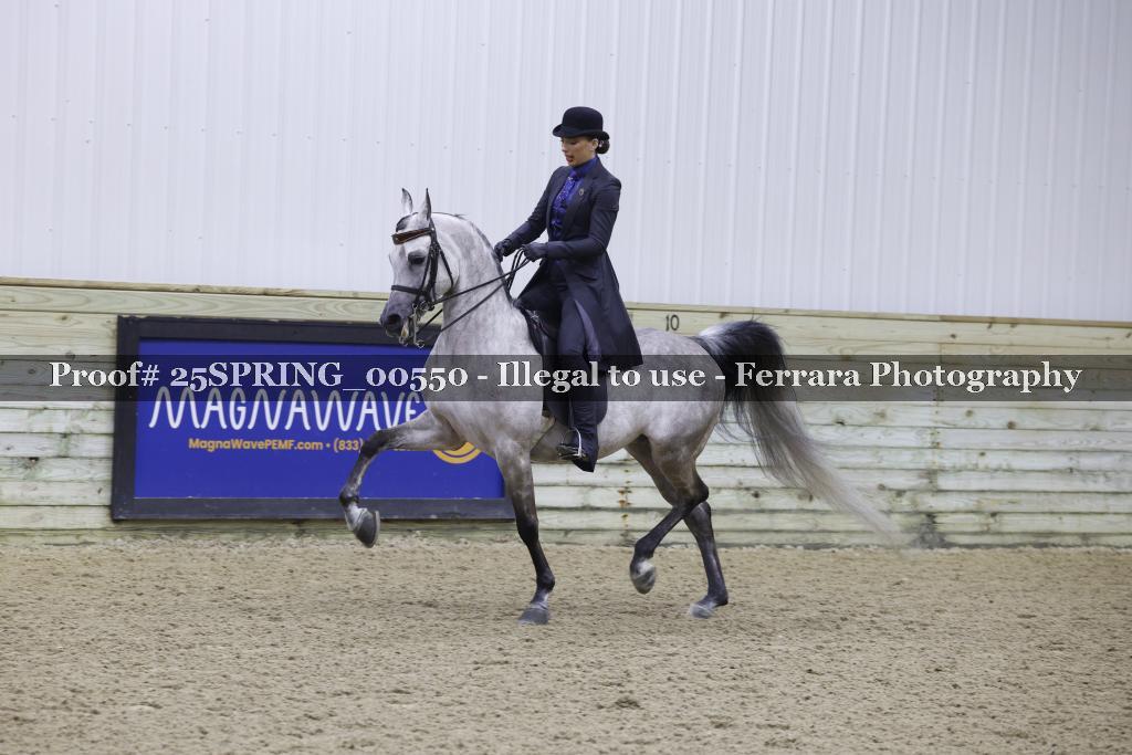 Proof 25SPRING_00550