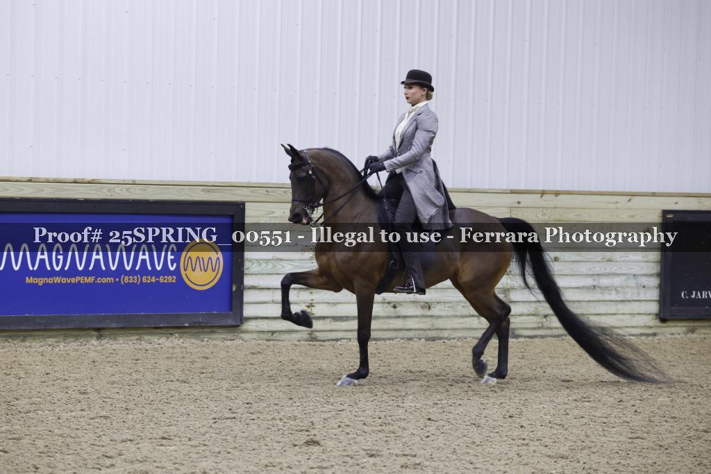 Proof 25SPRING_00551