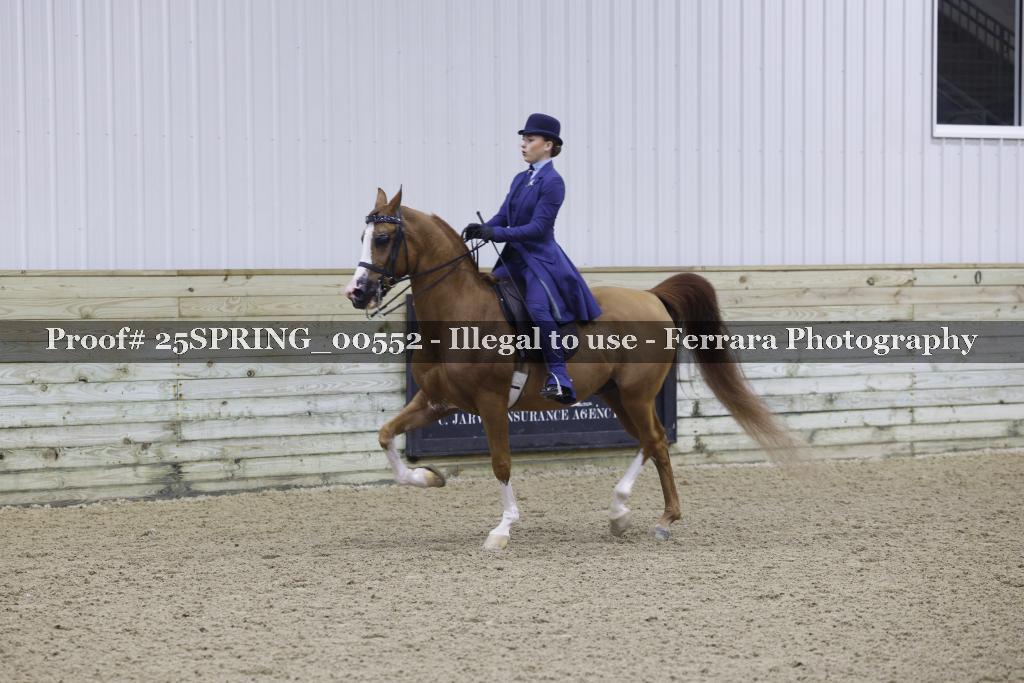Proof 25SPRING_00552