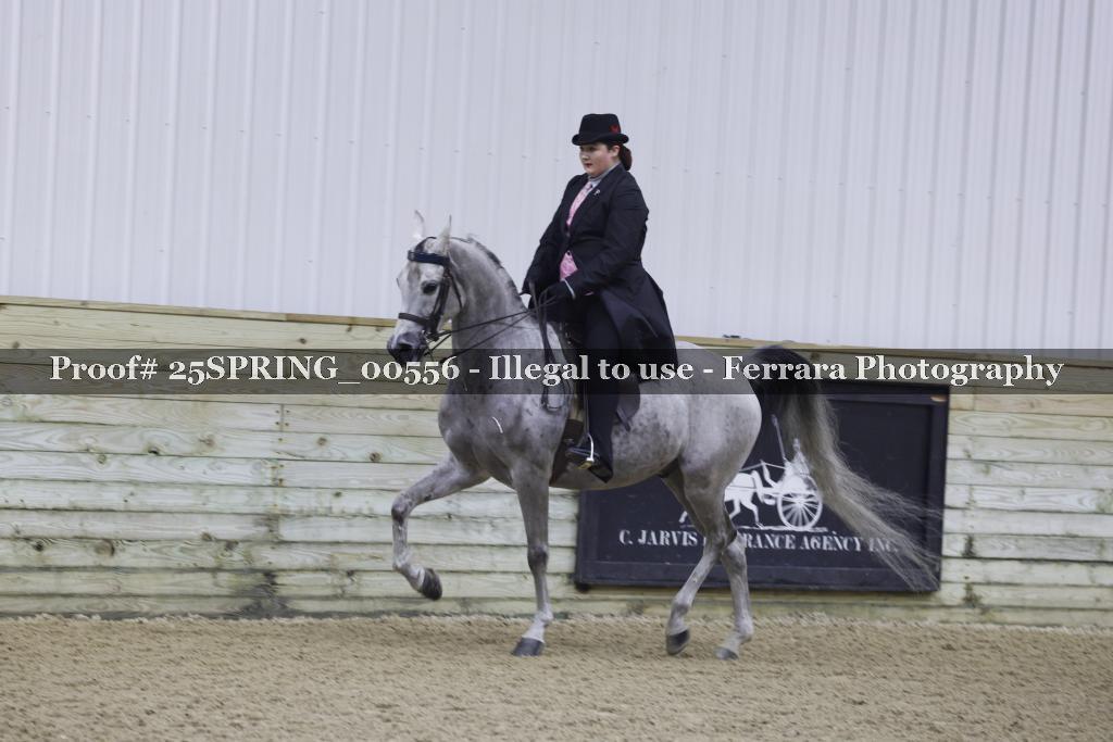 Proof 25SPRING_00556
