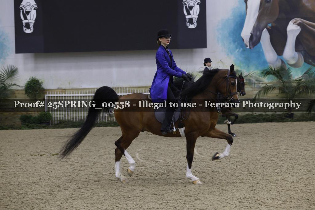 Proof 25SPRING_00558