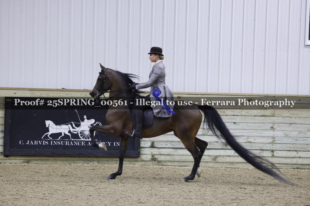 Proof 25SPRING_00561