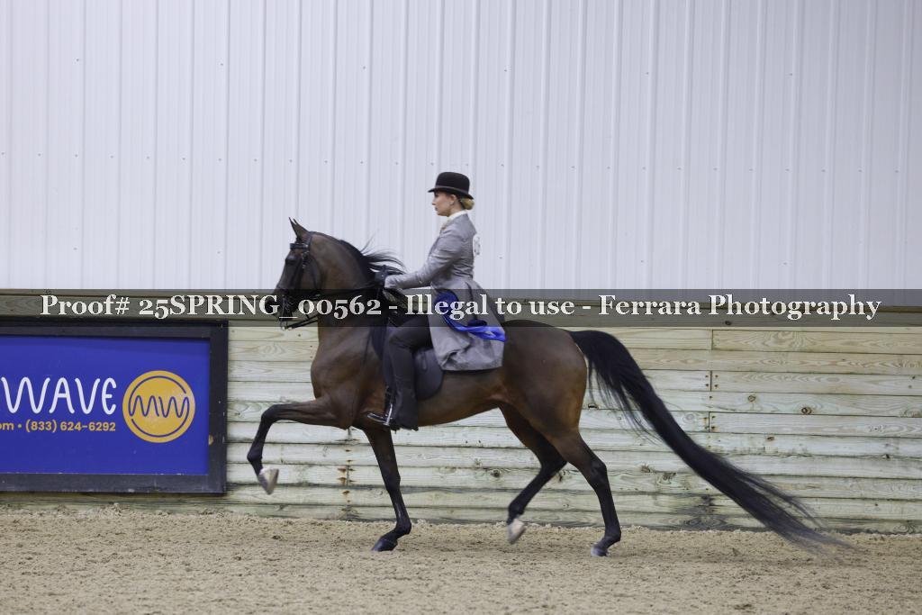 Proof 25SPRING_00562