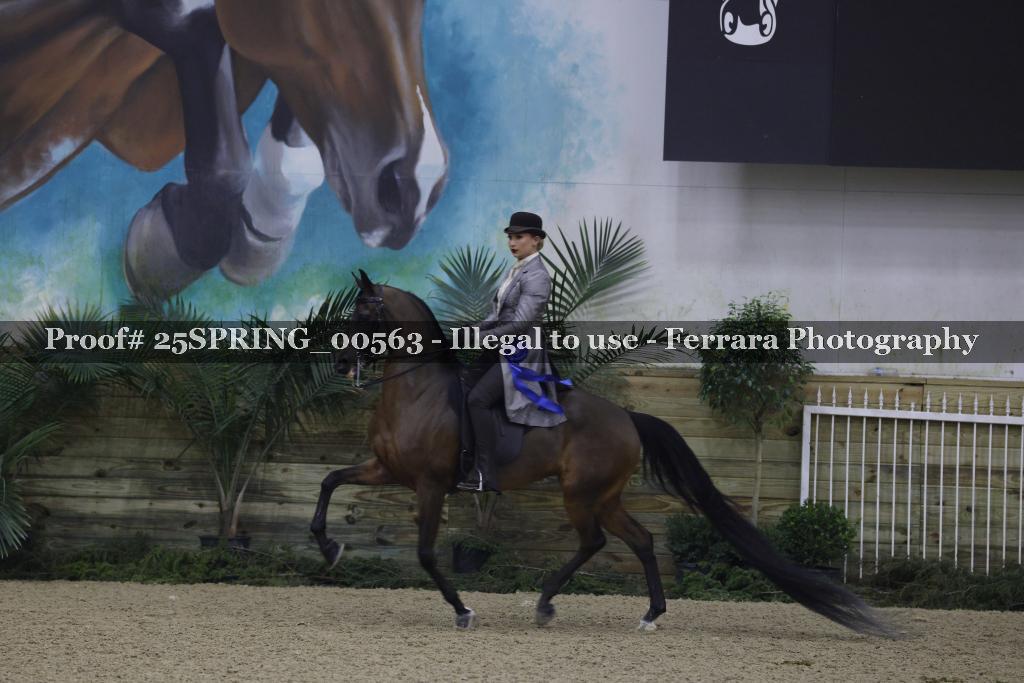 Proof 25SPRING_00563