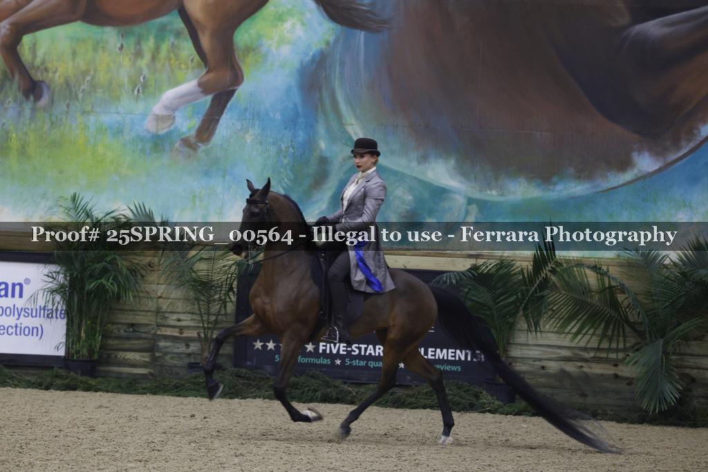 Proof 25SPRING_00564