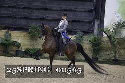 25SPRING_00565 proof