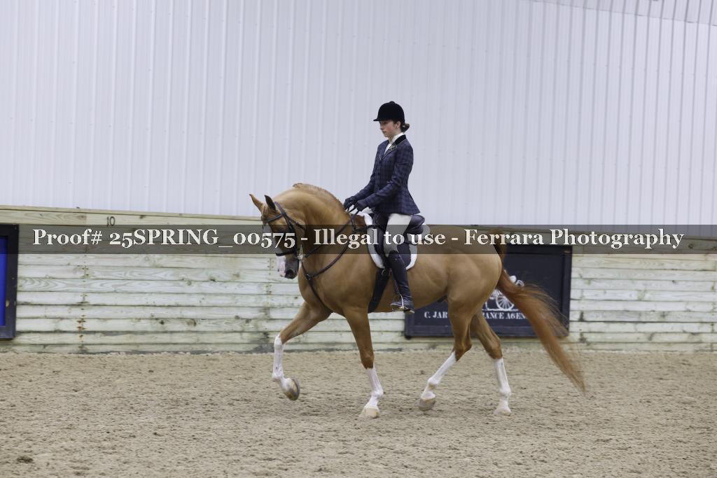 Proof 25SPRING_00575