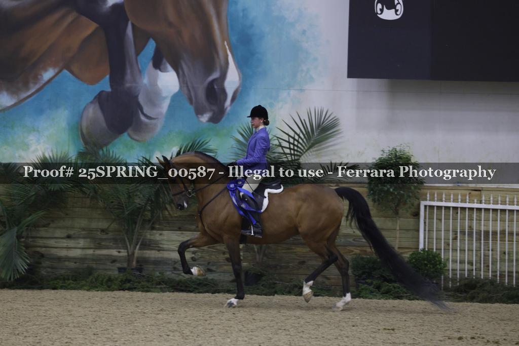 Proof 25SPRING_00587