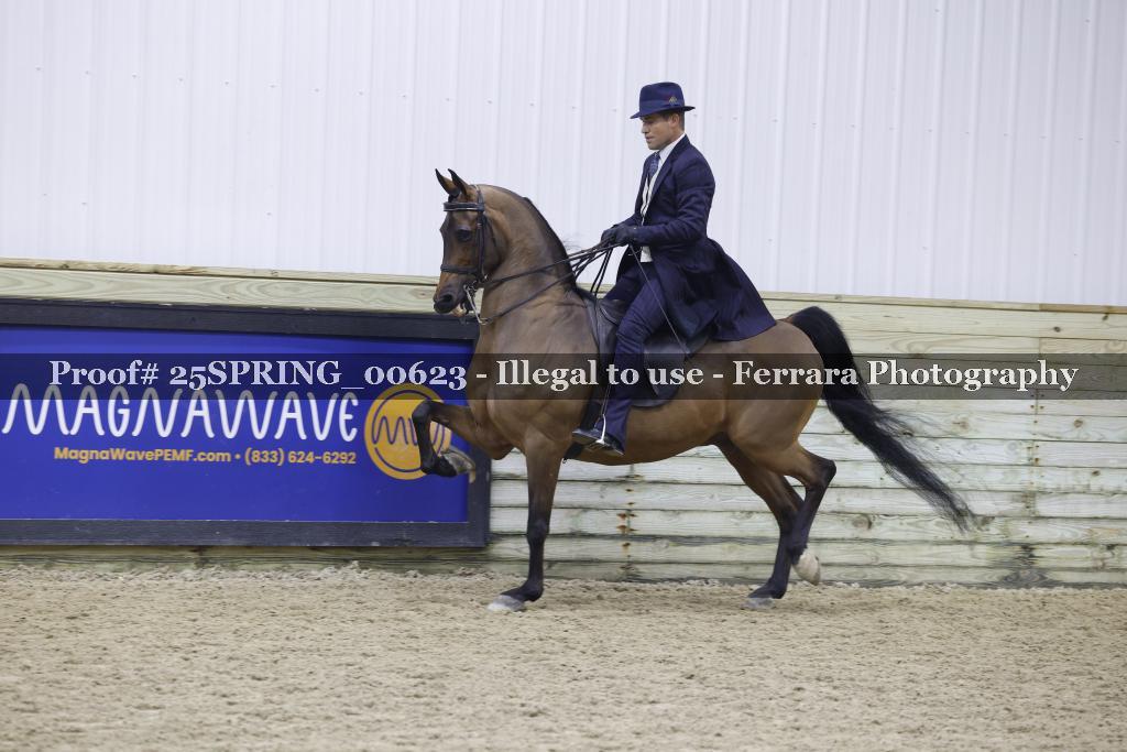 Proof 25SPRING_00623